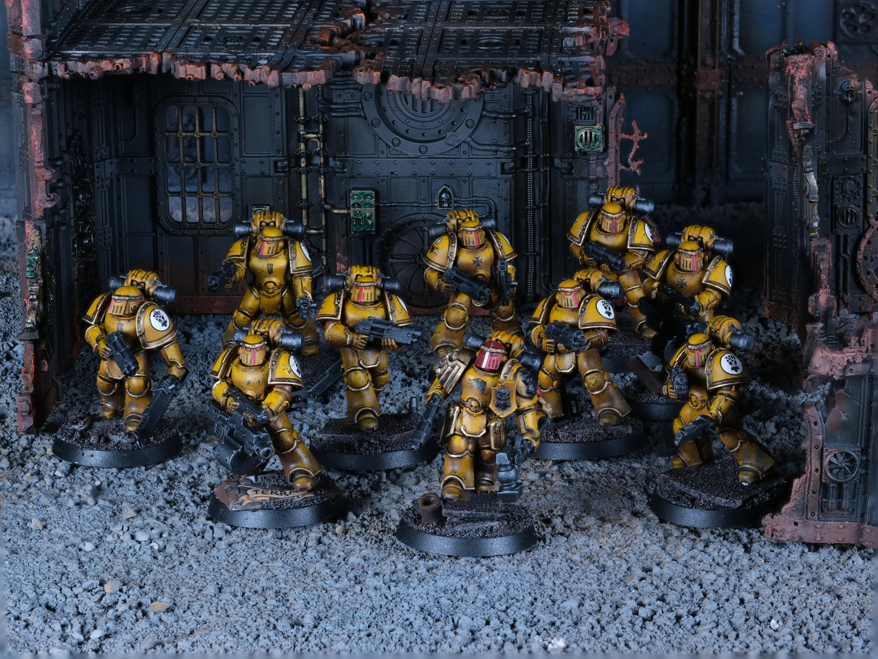 Imperial Fist Veteran squad